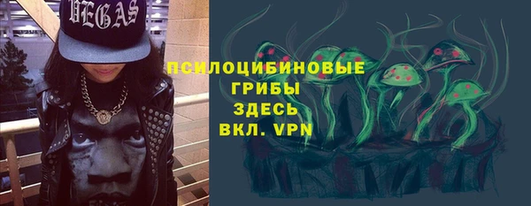 прущая мука Богородицк