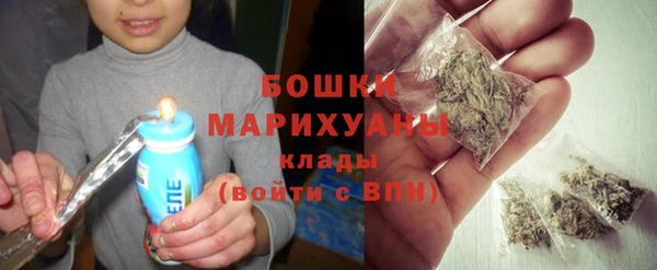 амф Богородск