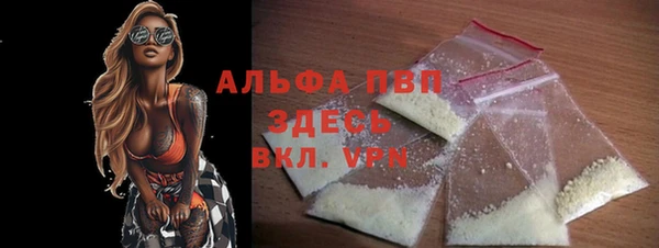 прущий лед Богданович