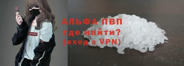 прущий лед Богданович