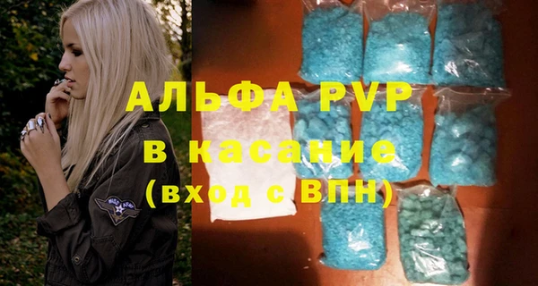 прущий лед Богданович