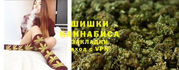 прущая мука Богородицк