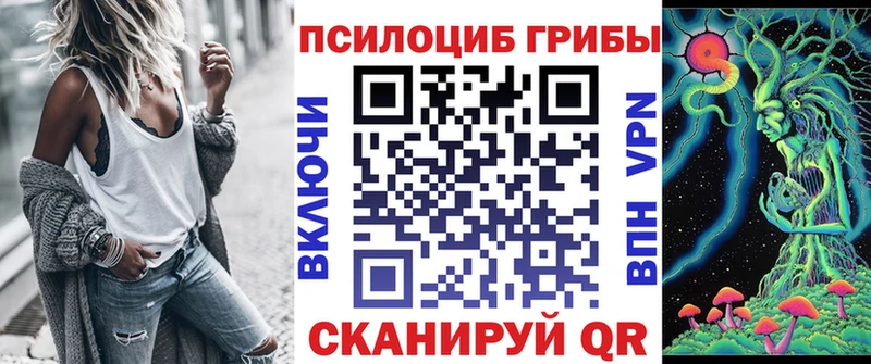 Галлюциногенные грибы Psilocybine cubensis  закладка  Надым 